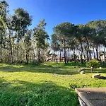 Nura Casa L'ulivo Olia Speciosa
