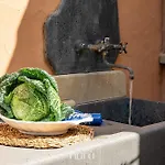Nura Casa L'ulivo Dom wakacyjny Olia Speciosa