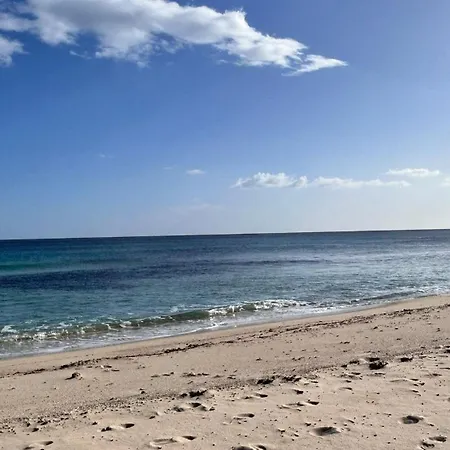 Casa L'ulivo Olia Speciosa