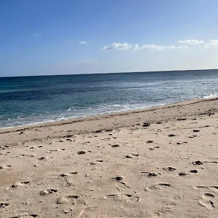 Casa L'ulivo Olia Speciosa