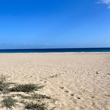 Tatil Evi Casa L'ulivo Olia Speciosa