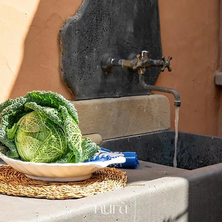 Nura Casa L'ulivo Dom wakacyjny Olia Speciosa