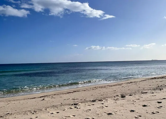 Casa L'ulivo Olia Speciosa