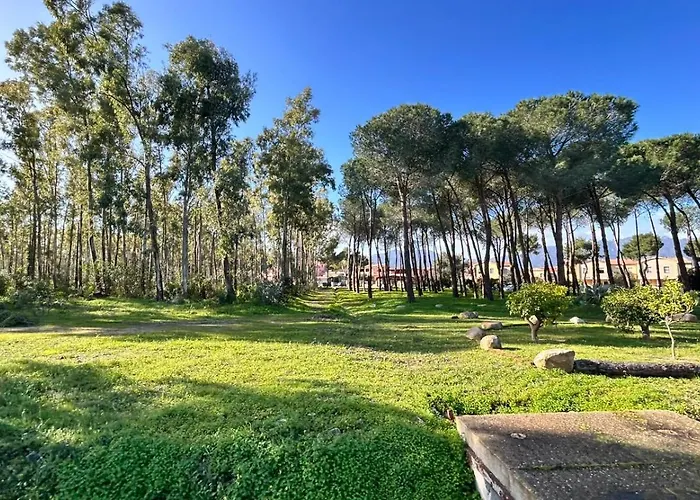 Casa L'ulivo Olia Speciosa