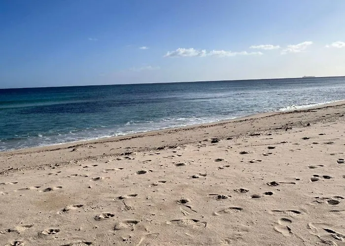 Casa L'ulivo Olia Speciosa