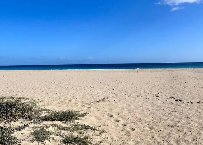 Tatil Evi Casa L'ulivo Olia Speciosa